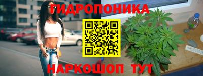 спайс Коммунар