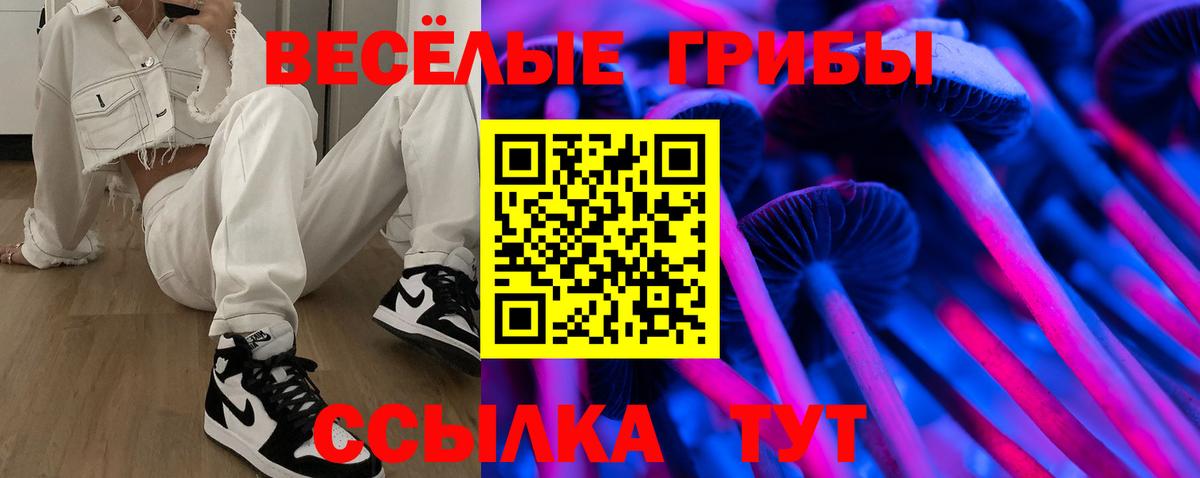 Галлюциногенные грибы Psilocybe Крымск