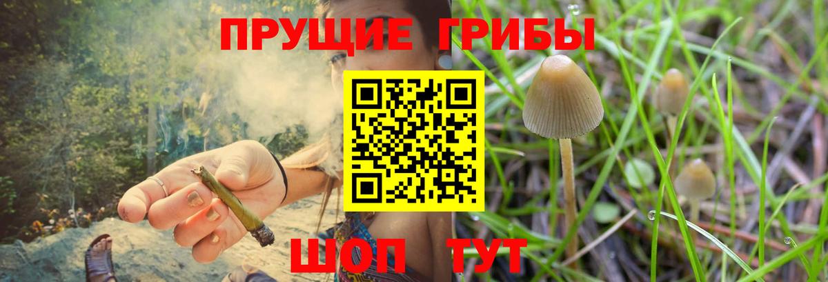 Крымск  Псилоцибиновые грибы Cubensis  Псилоцибиновые грибы GOLDEN TEACHER  дарнет шоп  Вход с VPN 